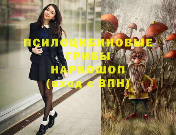 гидропоника Нягань