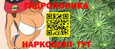шишки Пушкино