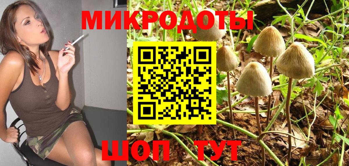 Галлюциногенные грибы Cubensis Североуральск