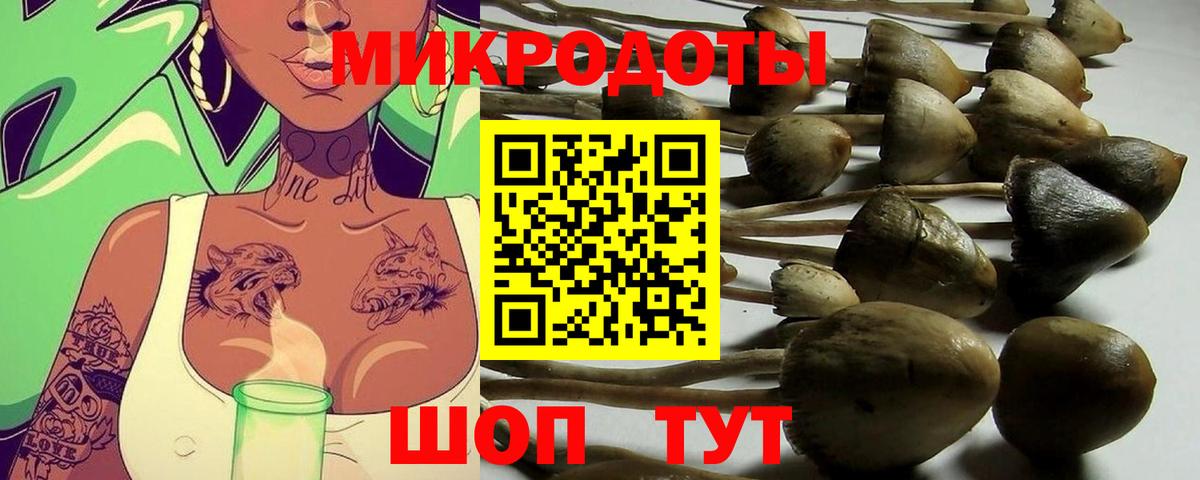 Североуральск  купить наркотик  Галлюциногенные грибы мицелий  Вход с VPN  Галлюциногенные грибы Magic Shrooms 